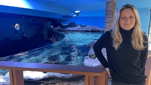Pour ses 25 ans, l'Aquarium de La Rochelle offre des nouveautés à...