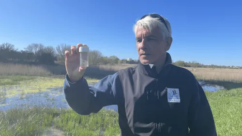 "Je n’ai jamais vécu ça" : les moustiques sont arrivés en...