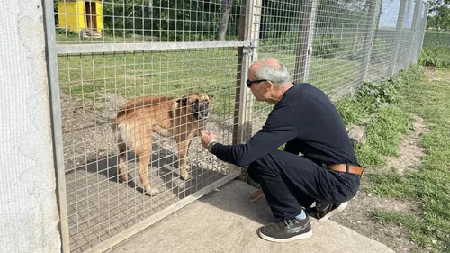 "On a très peu de liquidités" : l’appel au secours de ce refuge SPA...