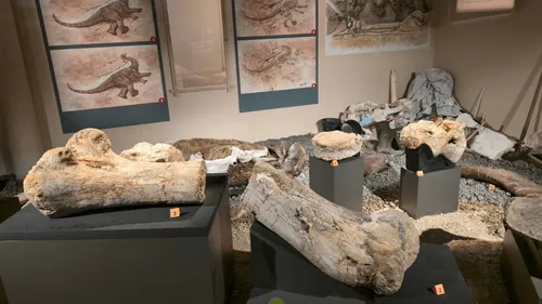 C’est une première : le squelette d’un dinosaure géant exposé à...