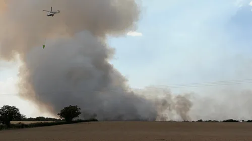 Une centaine d'hectares de végétation brûlés dans la Vienne, le feu...