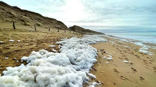 C’est quoi cette mousse sur les plages de l'Atlantique ? 