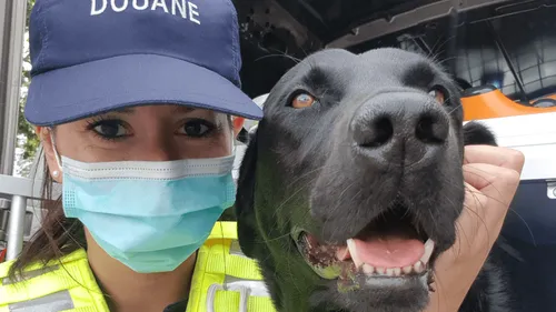 Un chien des Douanes de Nantes reçoit le titre de "Chien Héros 2021"
