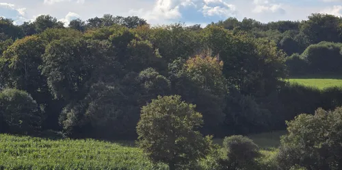 Guéret : mobilisation nationale contre les méga-usines à bois