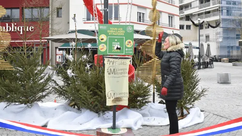 Limoges : des poubelles "paniers de basket" pour trier juste
