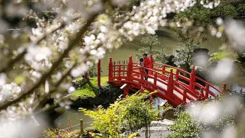 Après une année record, le Parc oriental de Maulévrier prépare ses...