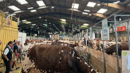 "Jusqu’à 14kg de lait en moins par jour et par vache" : l’été...