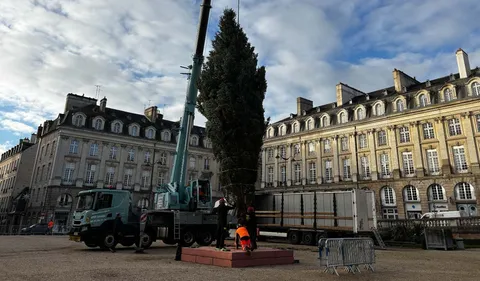 "C’est le feu vert des fêtes", un sapin de Noël de 13 mètres...