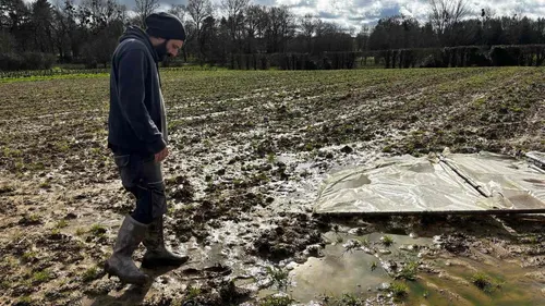 "Ça sent la vase, et il y a des algues", les maraîchers bretons...