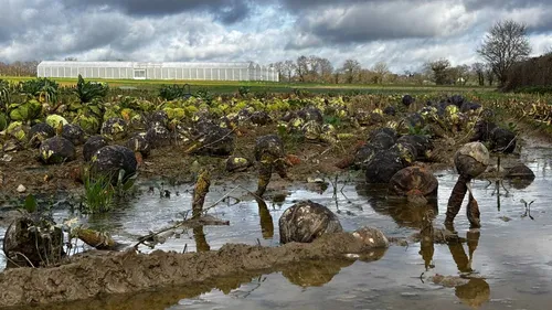 "Ce n'est pas un bilan satisfaisant" : hiver compliqué pour les...