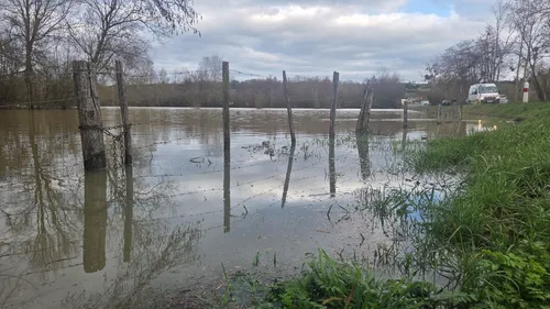 Février : le mois de tous les records