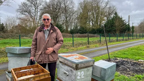 Maine-et-Loire : "Il n’y a plus du tout d’abeilles", ses ruches...