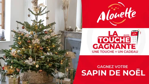 LA TOUCHE GAGNANTE - Alouette vous offre votre sapin de Noël !