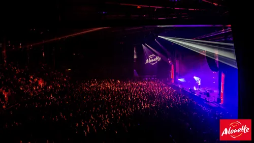 Le Live Alouette à Niort