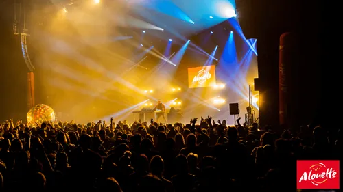 Revivez Le Live Alouette à Niort comme si vous y étiez !
