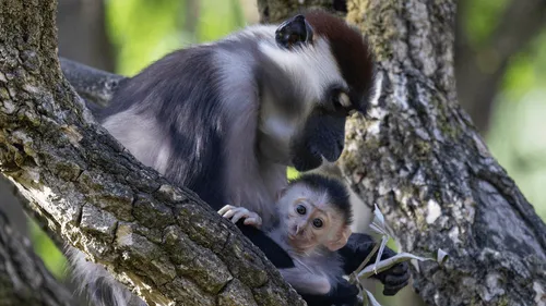 Carnet rose en Bretagne : une naissance pleine d'espoir aux Terres...