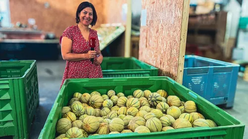 Comment bien choisir votre melon ?