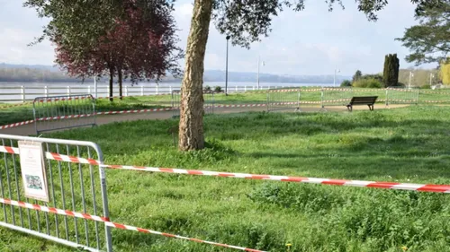 Ancenis : la fête de la Musique et le feu d’artifice du 13 juillet...