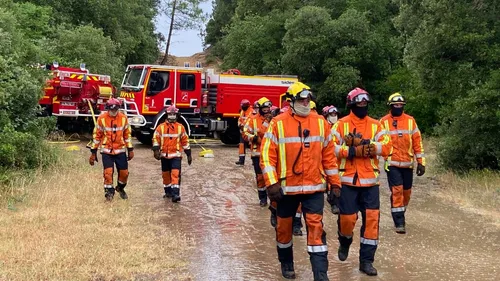 Vendée : plusieurs incendies en cours à travers le département 