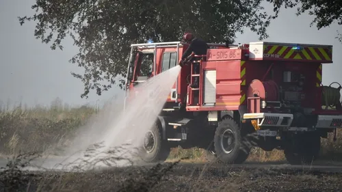35 hectares réduits en cendres dans la Vienne