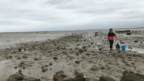 Morbihan : un pêcheur à pied décède à Damgan