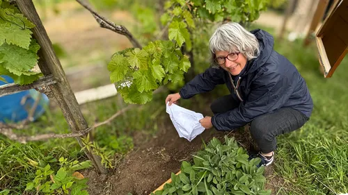 Pourquoi 29 slips sont enterrés à Nantes ? 