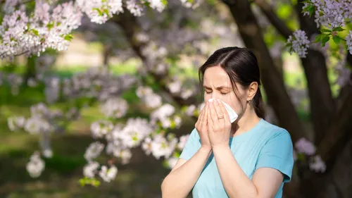 Allergies : la vague des graminées arrive, ce qu’il faut savoir