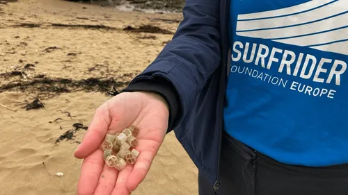 Qu'est-ce que la pollution aux biomédias détectée en...