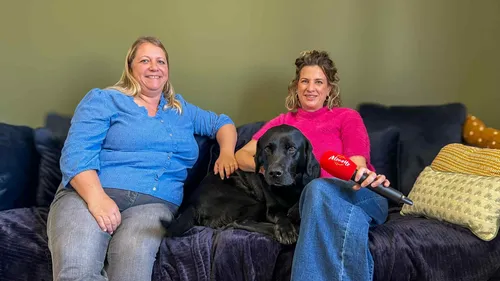 On a rencontré Roucky, le chien qui apaise les victimes au tribunal