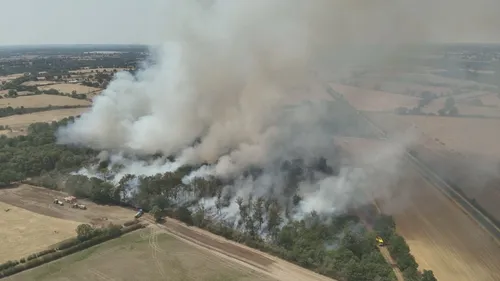 Deux-Sèvres : un feu de forêt mobilise une quarantaine de...
