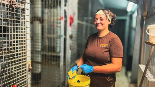 Maine-et-Loire : à la rencontre de Camille, soigneuse animalière