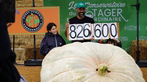 Vendée : des légumes géants prêts à défier les records au Potager...