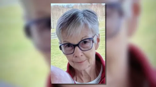 Un appel à témoins et une battue après une disparition inquiétante...