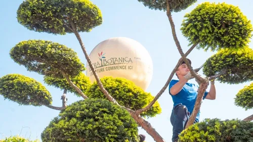 Terra Botanica recrute