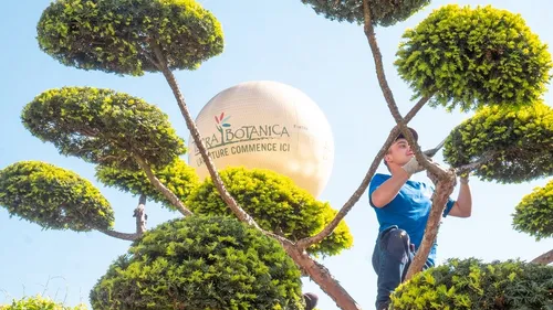 Terra Botanica recrute