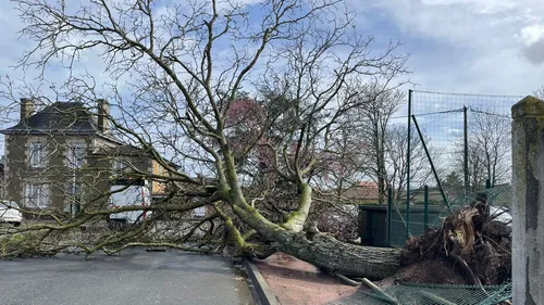 Deux villages de la Vienne et de l’Indre touchés par des tornades
