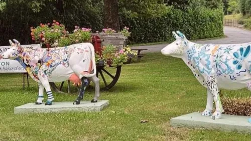 Appel à témoins : Où sont passées les vaches de Rancon Nikki et...