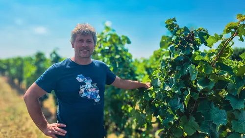 En Vendée, le vin retrouve des couleurs en 2025