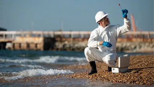 Pesticides et médicaments retrouvés sur le littoral : quelles...