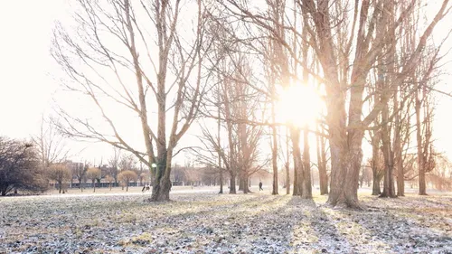 Neige, froid : que nous réserve le ciel de nos régions pour Noël ?