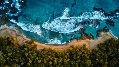 Job de rêve : tester pendant 1 an une île paradisiaque