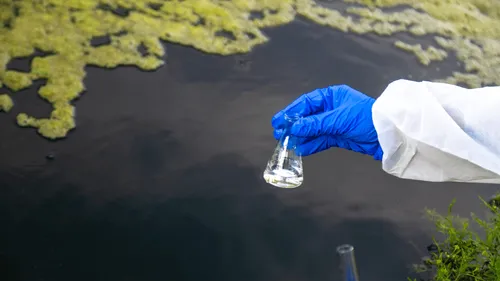 Des dizaines de poissons morts dans une rivière de Charente : que...