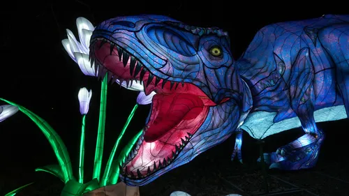 Morbihan : les Animaux de Lumière sont de retour !