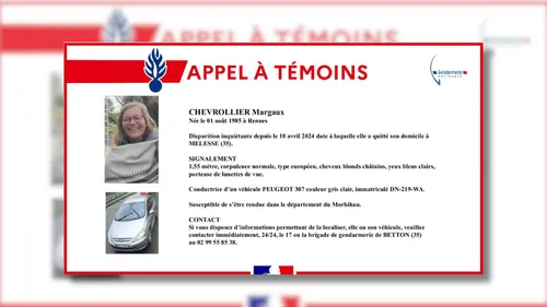Ille-et-Vilaine : un appel à témoins après la disparition...