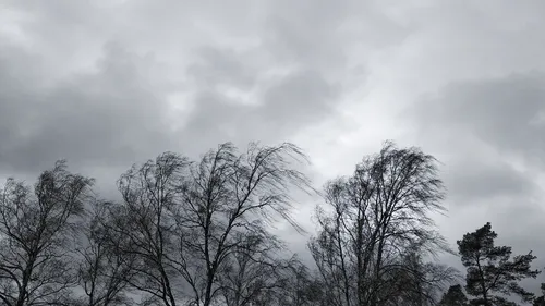 L'île de La Réunion secouée par un violent cyclone