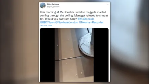 Londres : Invasion d’asticots dans un restaurant McDonald’s