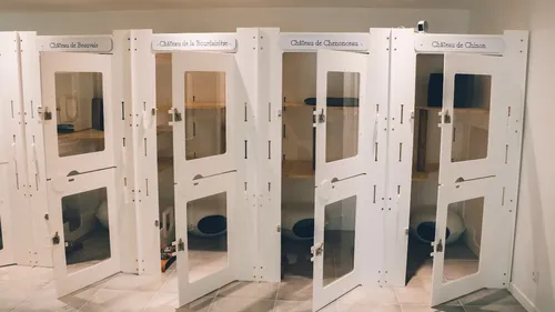 Indre-et-Loire : une première franchise de pensions pour chats