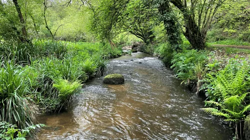 Le Loto de la biodiversité lancé ce lundi 28 octobre 