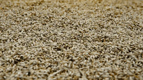 Blé déversé sur les rails en Bretagne : quatre personnes mises en...