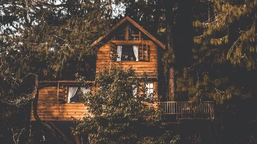 États-Unis : à 9 ans, il construit une cabane dans les arbres et la...